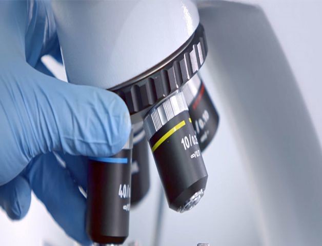 शीर्ष आर एंड डी क्षमता